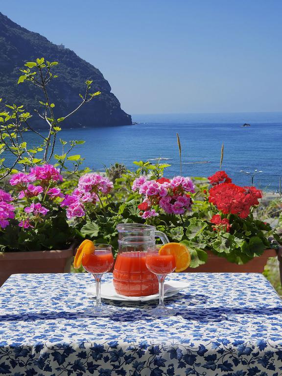 Hotel Casa Del Sole Forio di Ischia Buitenkant foto